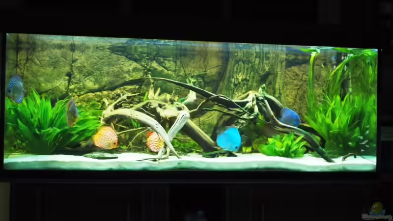 Komplettansicht Aquarim 