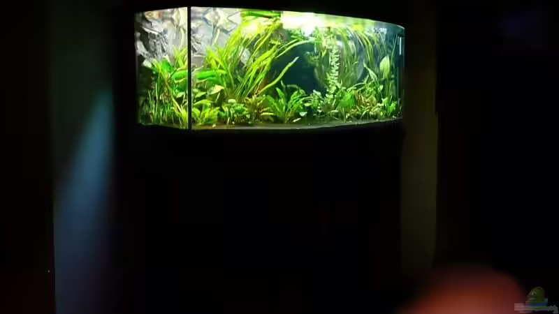 Komplettansicht bei Nacht 04.2008 von Tim Burow (6)