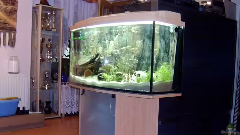 komplettansicht mit unterschrank und Abdeckung von Angelika König (2)