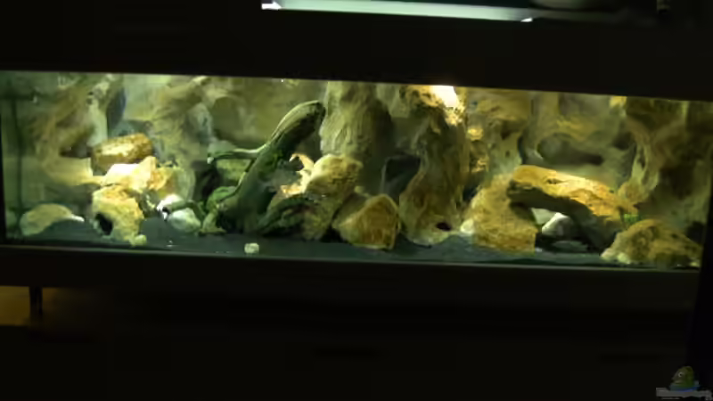 Komplettansicht Oktober 2011 von rayskin (2)