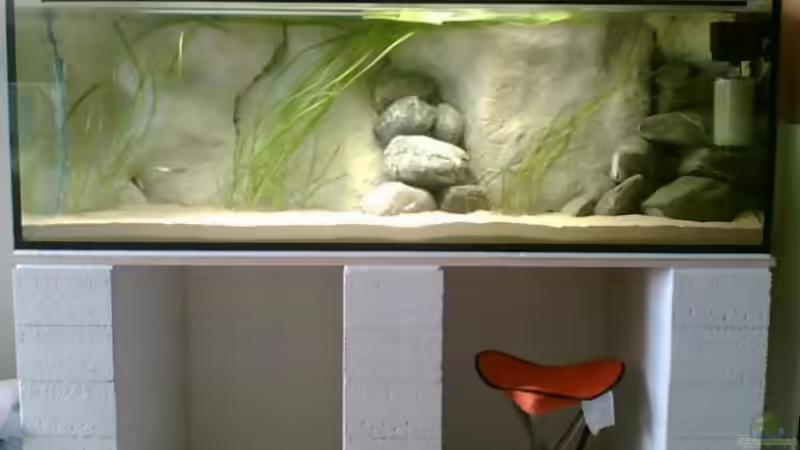 Komplettansicht von Alex Stark (2)