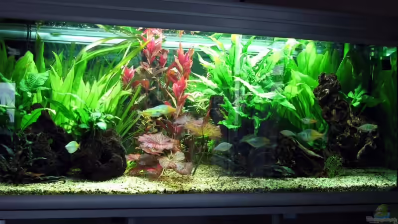 Komplettansicht von Bernd Willikonsky (1)