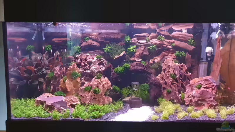 Komplettansicht von Björn Wanjelik (6)