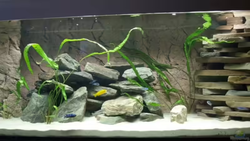 Komplettansicht von Branjo (4)