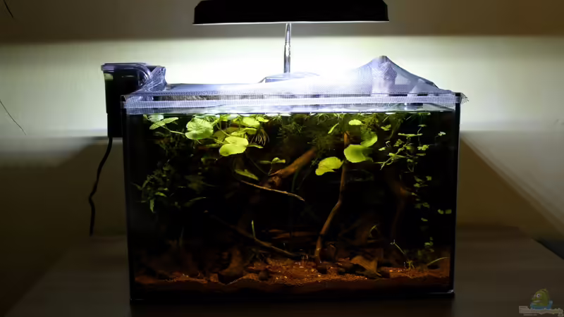 Komplettansicht von die Perle... (9)