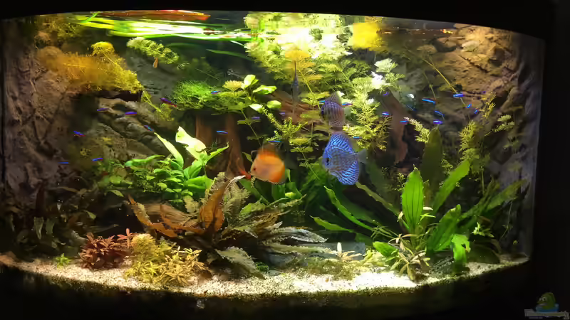 Komplettansicht von Diedelsen (6)