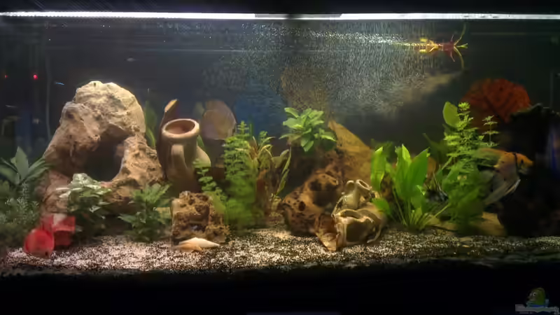 komplettansicht von Franz Napf (6)