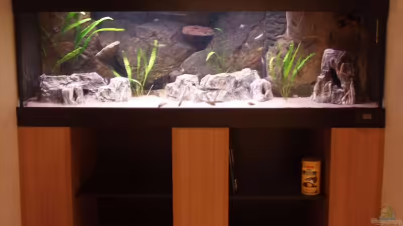 Komplettansicht von Heiko Kazmierczak (1)