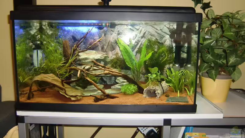 Komplettansicht von HOTU (4)