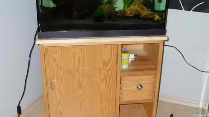 Komplettansicht von Jessi & Daniel (2)