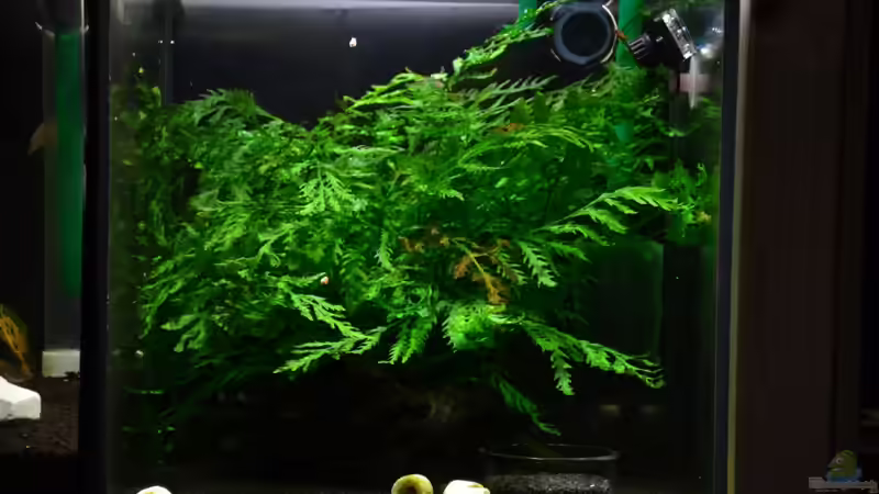 Komplettansicht von Julian H. (1)