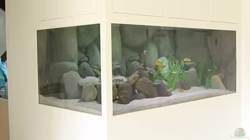 Komplettansicht von Klaus Lischka (8)