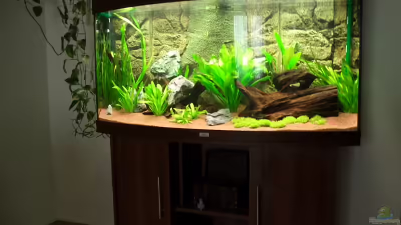 Komplettansicht von Marc (2)