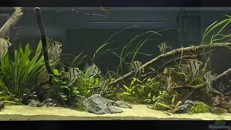 Komplettansicht von Oliver Bartels (1)