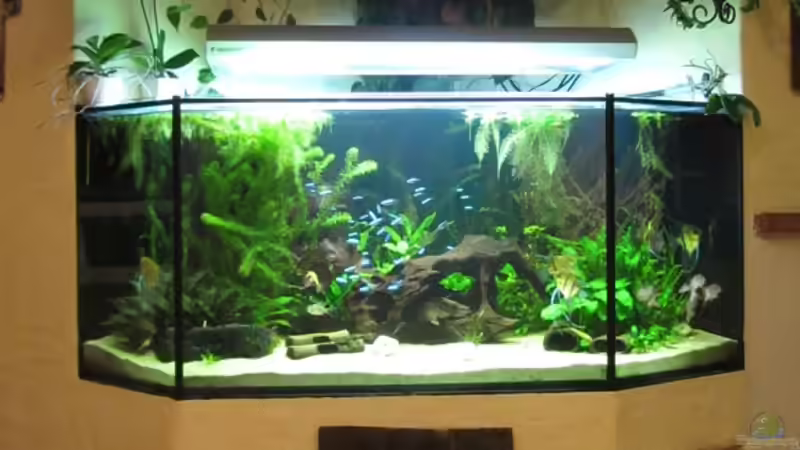 Komplettansicht von Sabrina Plankensteiner (10)