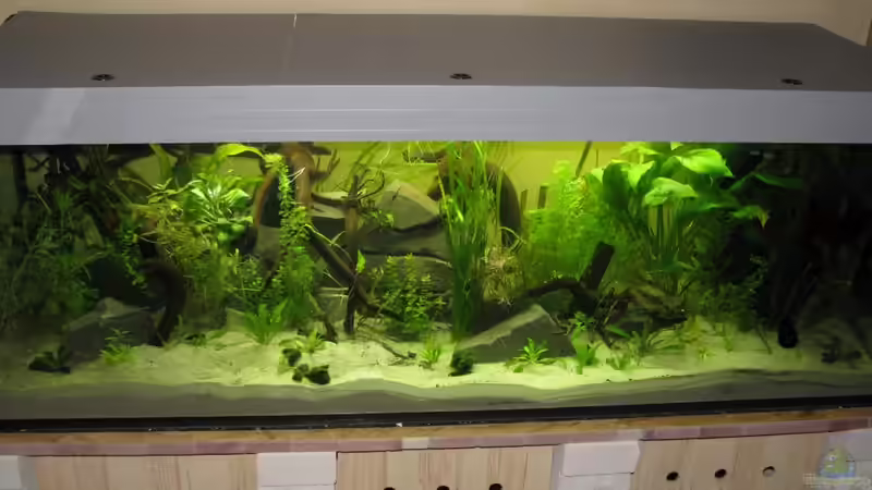 Komplettansicht von Sado-Uwe (3)