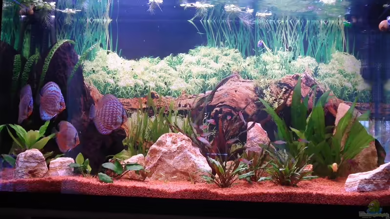 Komplettansicht von Sven Seidel (1)