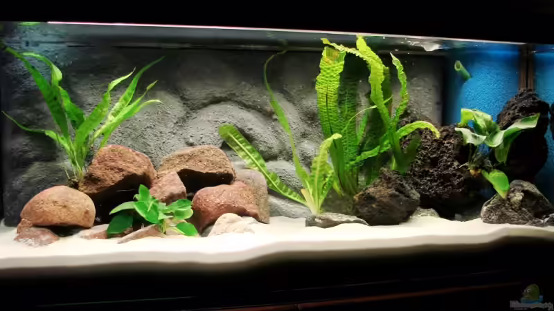 Komplettansicht von Tanganjika_160_Liter (1)