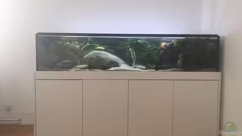 Komplettansicht von Tosche