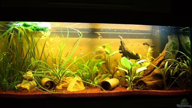 Komplettansicht von Viktor D. (1)