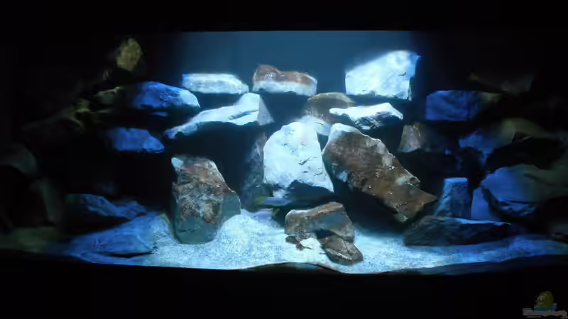 Komplettansicht von Vision (12)