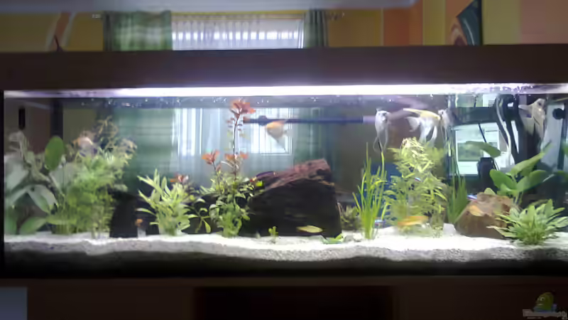 Komplettansicht von Vorne von Katerina Schöbella (1)