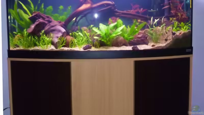 Komplettaquarium mit Unterschrank - November 2012 von Deino (7)