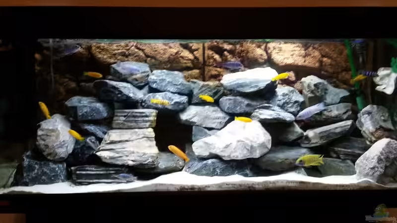 Komplettbild von Andreas Musterfisch (3)