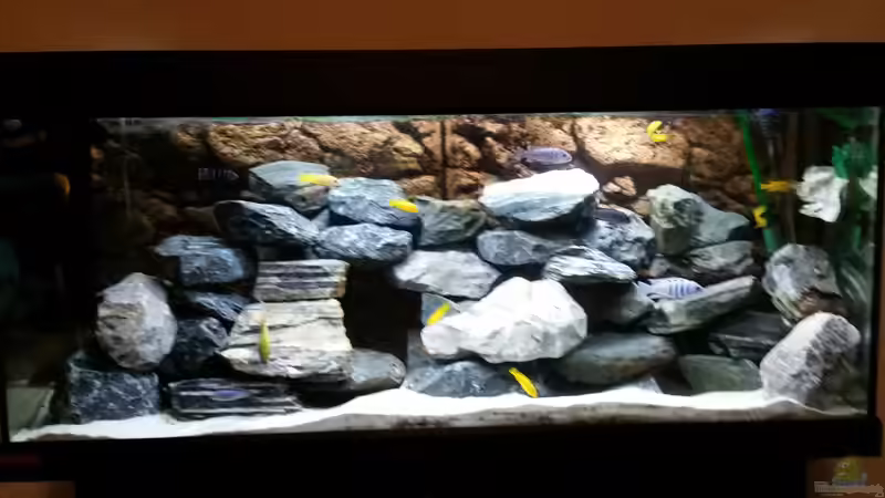 Komplettbild von Andreas Musterfisch (8)