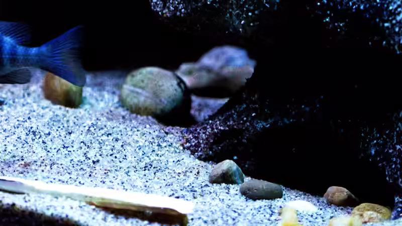 komplette Ansicht von AjakAndi (8)