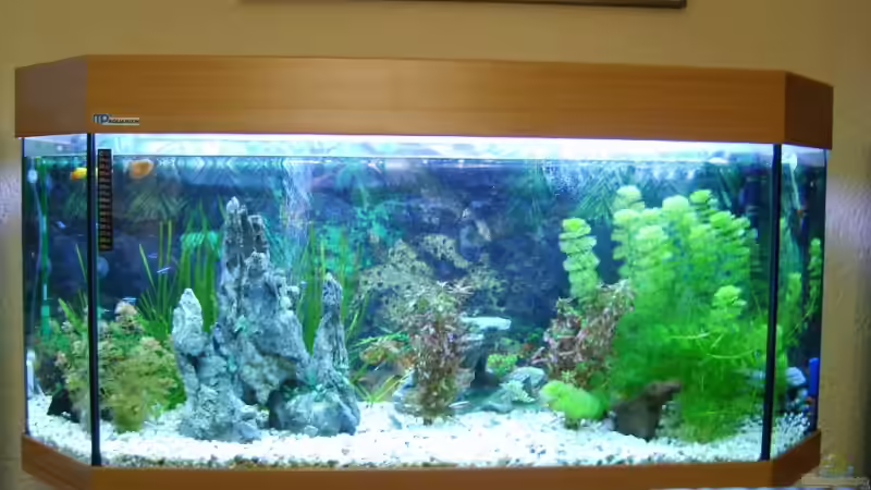 Komplette Ansicht von Rocky (2)