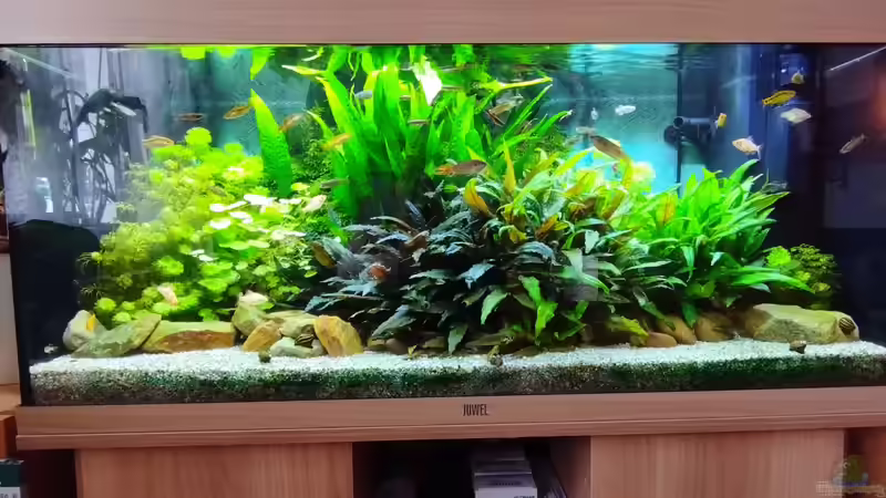 Komplette Ansicht von Thomas Kreuter (29)