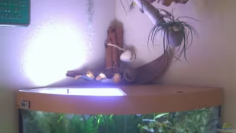 Komplette Forderansicht 07.08.06 von Holger Freiwald (4)