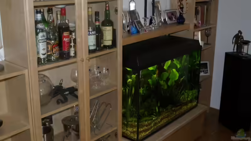 Komplette Schankwand von Thomas Rengier (4)