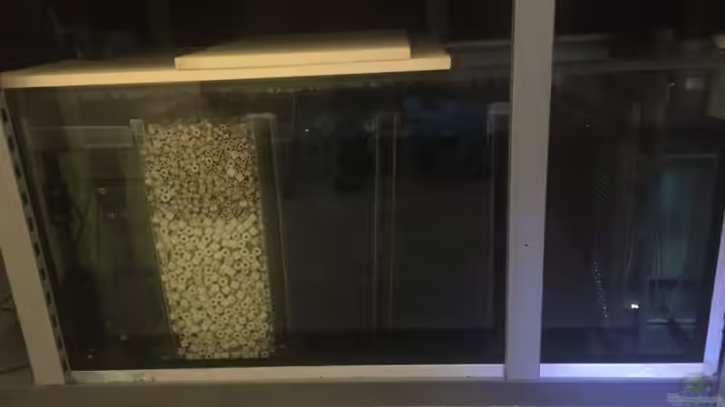 kompletter Filter  von Dicrossus (6)