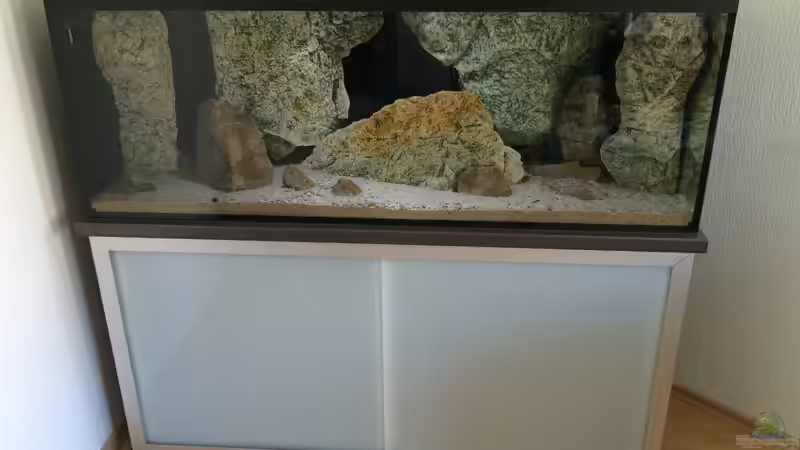 Komplettkombination von Branjo (8)