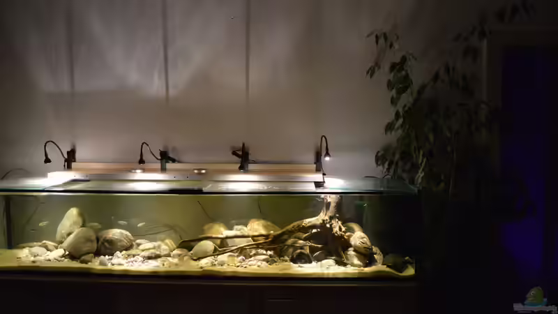 Kongo-River von David Breuers (3)