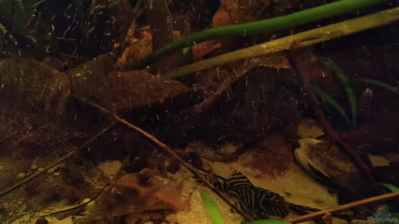 Kontrollgang von SaMü (26)