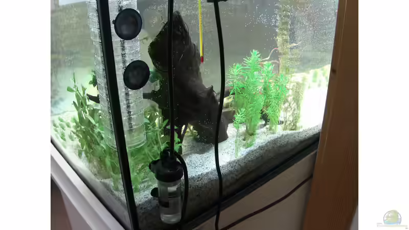 Kontrollparameter an der Rückwand  von Jonas (Trancemania) (18)