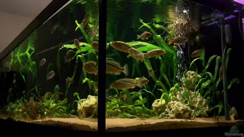 Koplett und schräg von Klabuster (3)