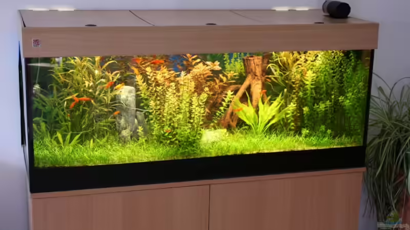 Koplettaquarium von WOHA von Andreas Christ (4)