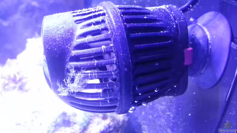 Koralia Nano von Mathias Schlett (13)