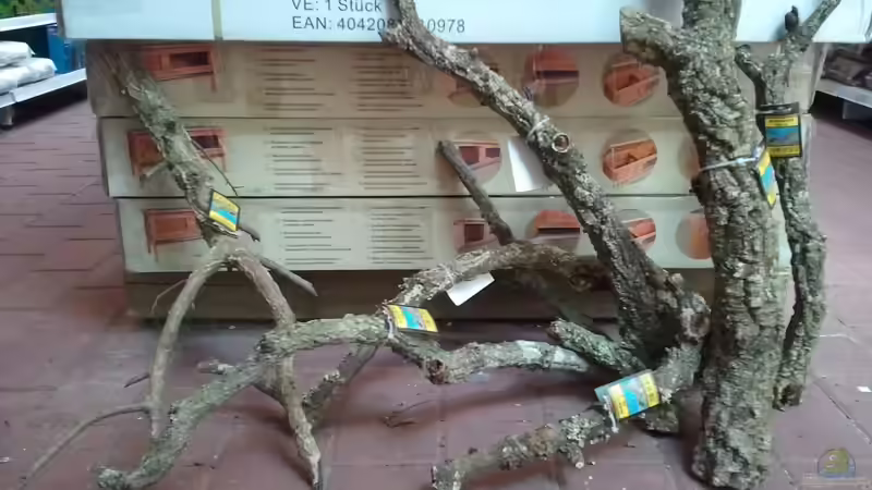 Kork-??ste von Marcel Reiter (16)