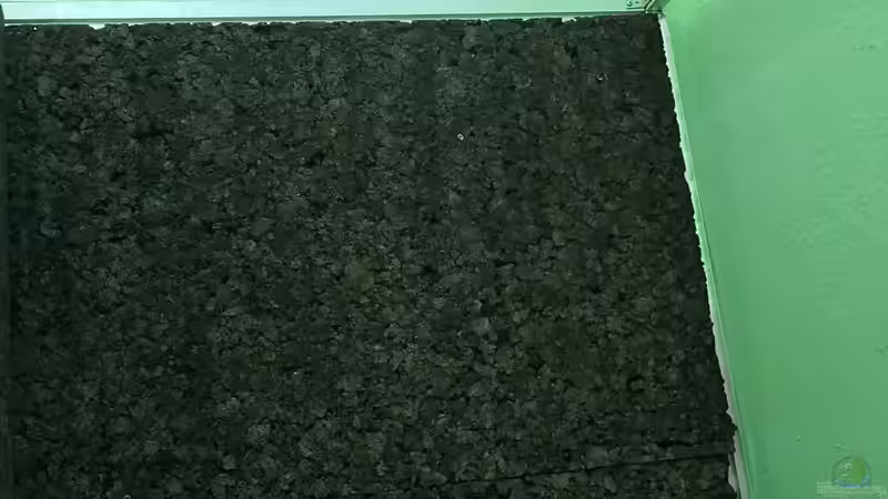 Korkrückwände von Cichliden-Kabuff (20)