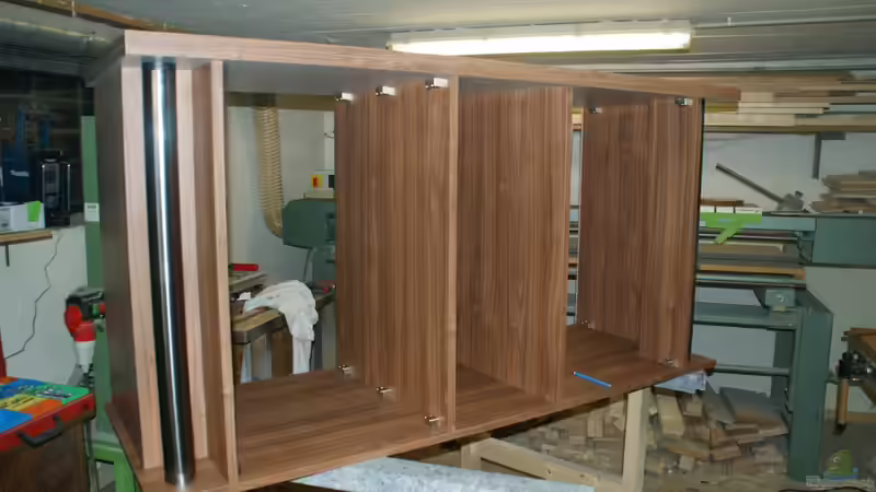 Korpus  von Frank Wollenburg (5)