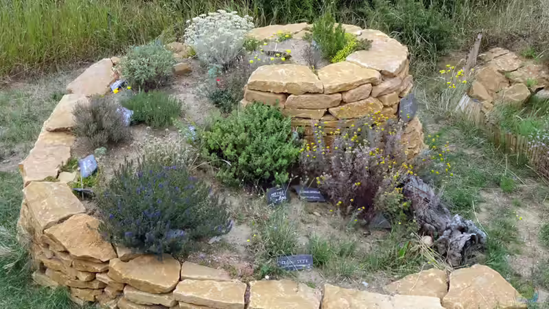 Kräuterspirale anlegen und pflegen - Alles, was du wissen musst