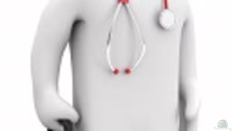 Krankheiten - nein Danke!!