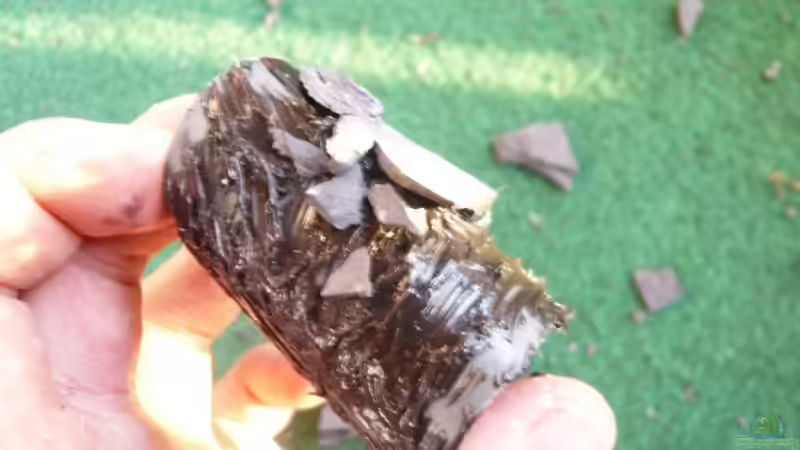 krebshöhlen von lumpi (23)