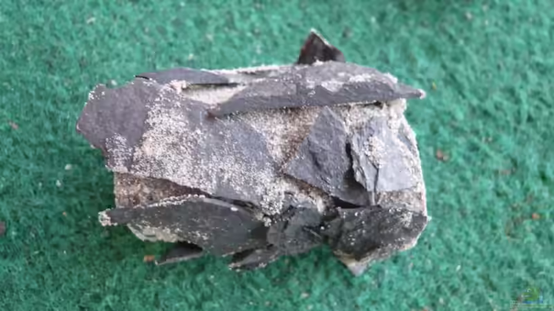 krebshöhlen von lumpi (24)