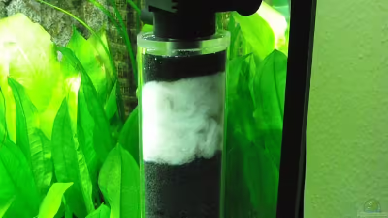 Kristallwasser von Microsash